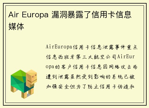 Air Europa 漏洞暴露了信用卡信息 媒体
