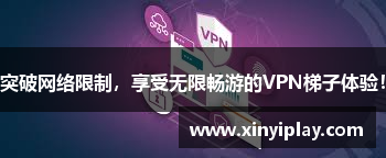 突破网络限制，享受无限畅游的VPN梯子体验！