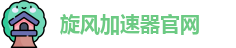 旋风加速器免费下载安装 - 让上网体验更流畅